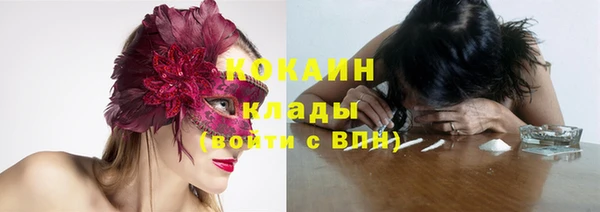 мяу мяу мука Надым
